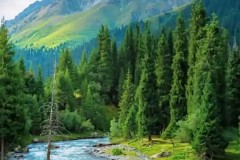 米兰联赛崛起：欧战缺席助力战术调整，积分榜攀升球迷期待