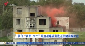 伏明霞跳水皇后闪婚豪门：年龄悬殊婚姻中的家庭事业平衡之路